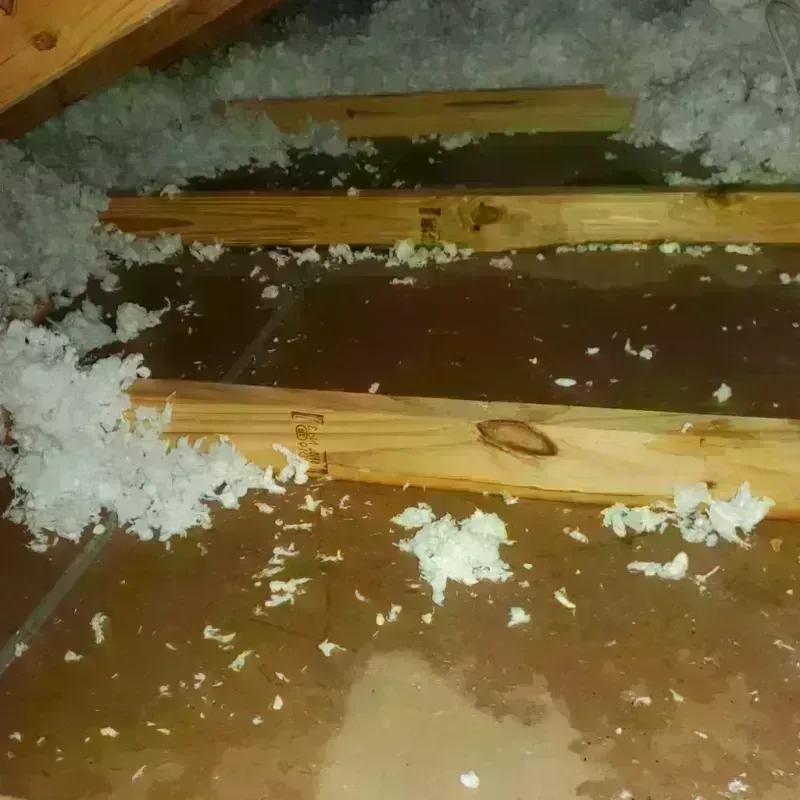 Attic Water Damage in Brownfield, TX